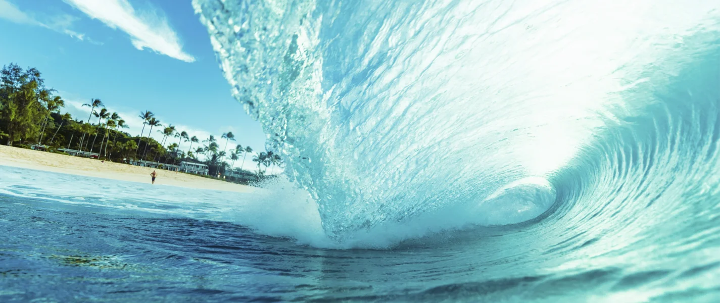 Galería booking world